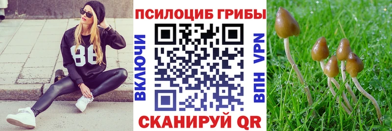 Псилоцибиновые грибы мухоморы Малгобек